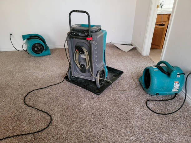 Best Basement water damage restoration  in South Lake Tahoe, CA