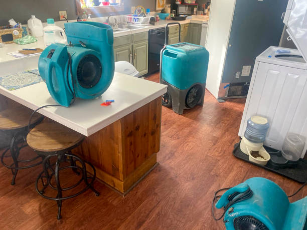 Best Water damage contractors near me  in South Lake Tahoe, CA