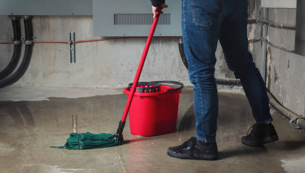 Best Ceiling water damage repair  in South Lake Tahoe, CA