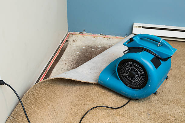 Best Water damage restoration cost  in South Lake Tahoe, CA